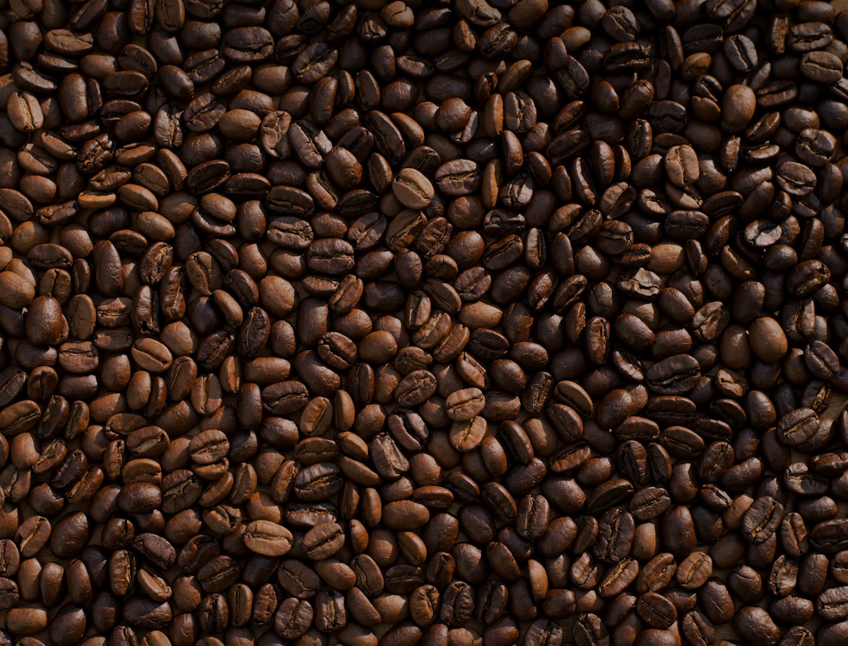 Café Mock-Up